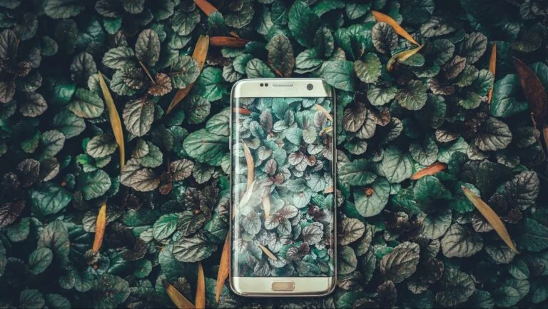 A smartphone laying on a bed of green leaves, with its screen displaying an image that blends seamlessly with the surrounding foliage, symbolizing the potential of native ads to integrate smoothly with content and attract earnings.